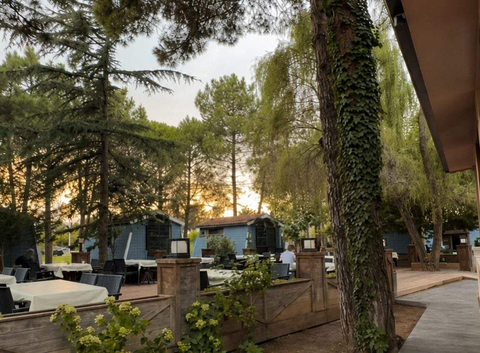 Artena Resort & Hotel — Şile Kumbaba’da çam ağaçları arasında bir kaçamak